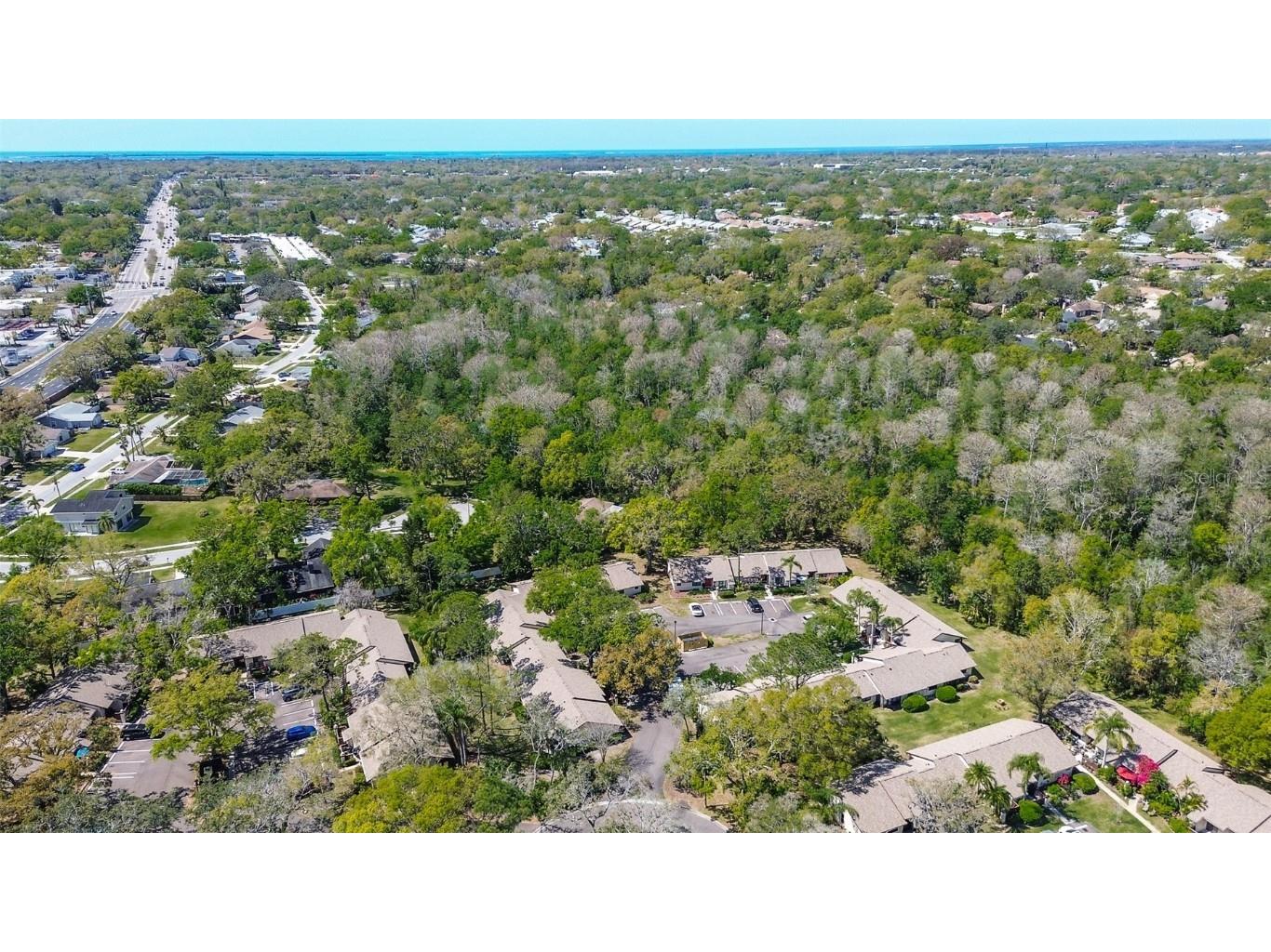 4031 Bluff Oak Court Palm Harbor FL 34684 TB8433722 image39