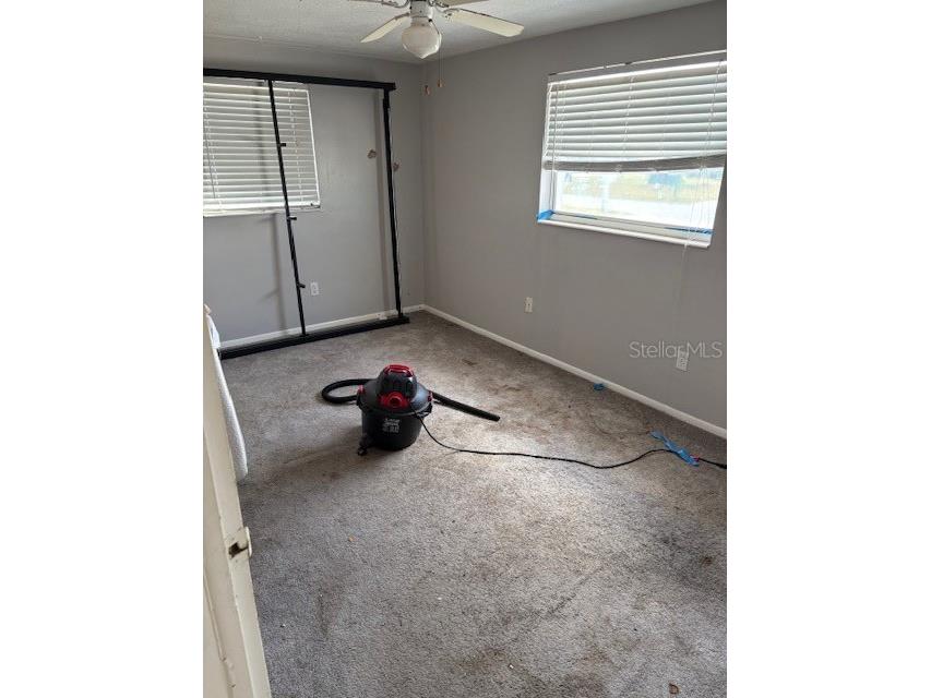 4031 Chesswood Drive Holiday FL 34691 TB8371399 image10