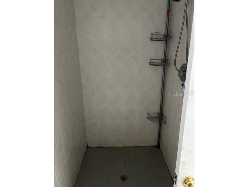 4031 Chesswood Drive Holiday FL 34691 TB8371399 image16