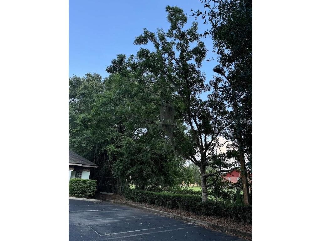 4031 NW 43rd Street Gainesville FL 32606 O6355652 image3