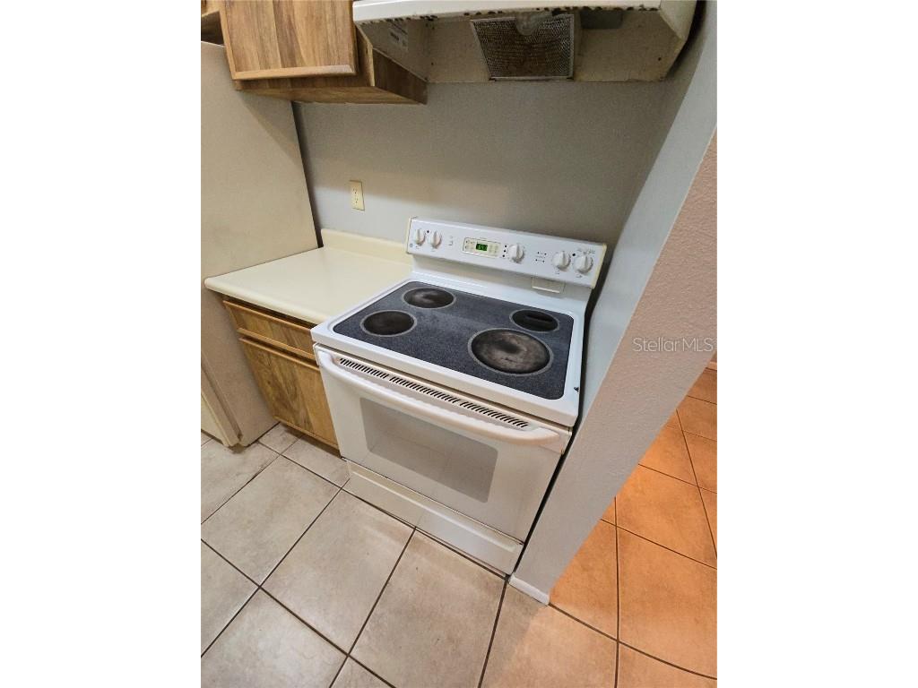 4031 Tumble Wood Trail #203 Tampa FL 33613 TB8337607 image10