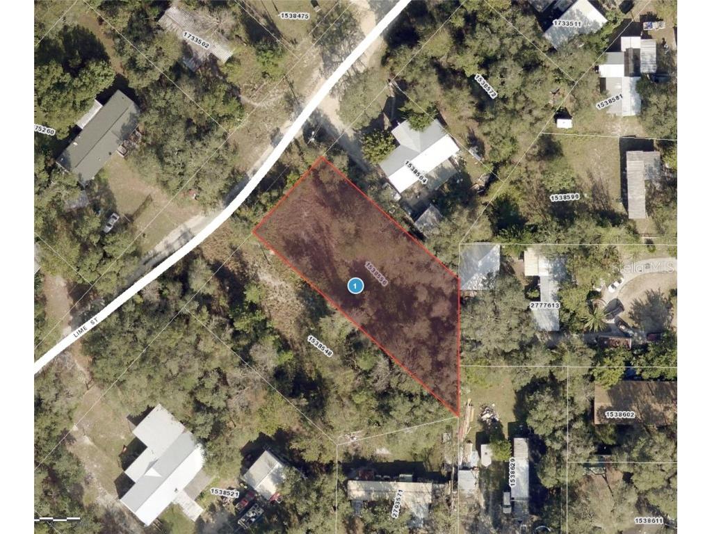 40314 Lime Street Eustis FL 32736 O6157230 image1