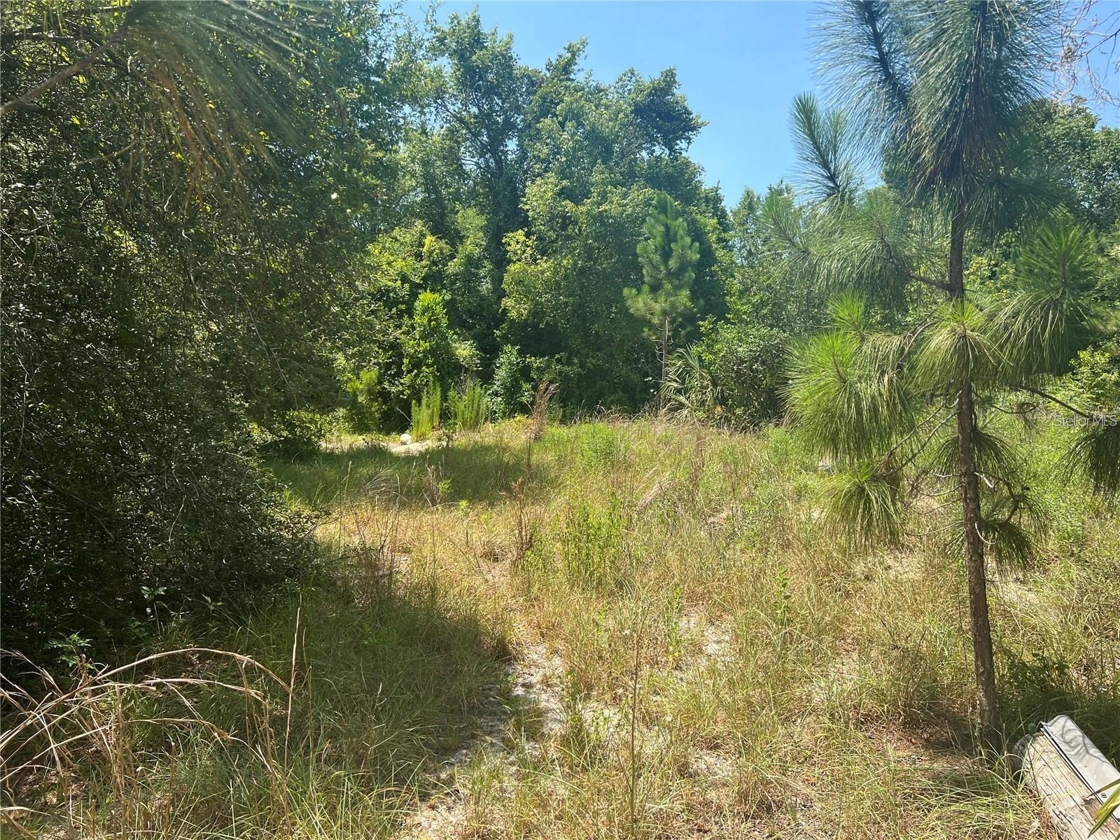 40314 Lime Street Eustis FL 32736 S5147161 image1
