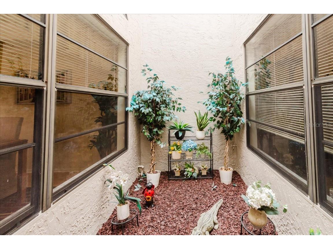 4032 Salem Square Court Palm Harbor FL 34685 TB8384403 image23