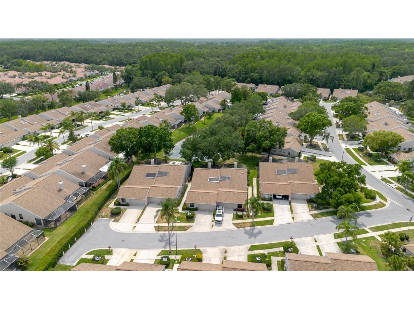 4032 Salem Square Court Palm Harbor FL 34685 TB8384403 image3