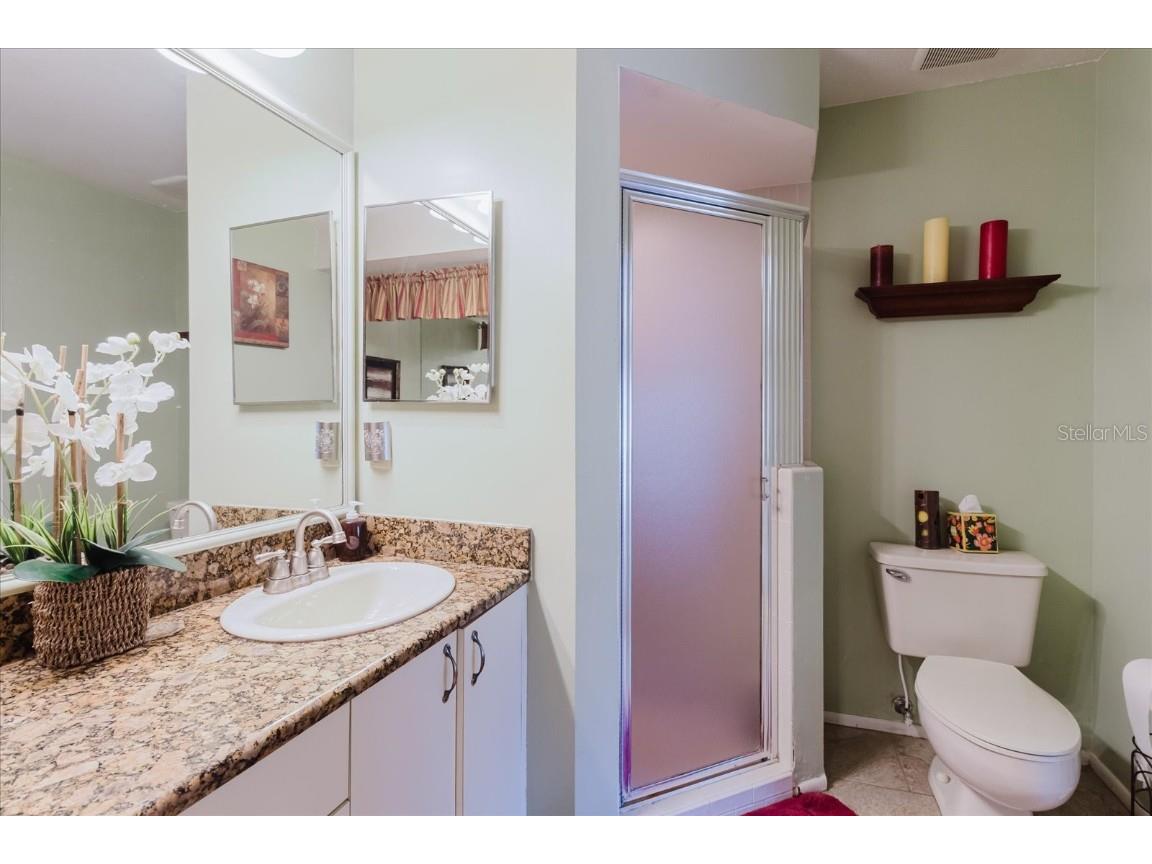 4032 Salem Square Court Palm Harbor FL 34685 TB8384403 image38