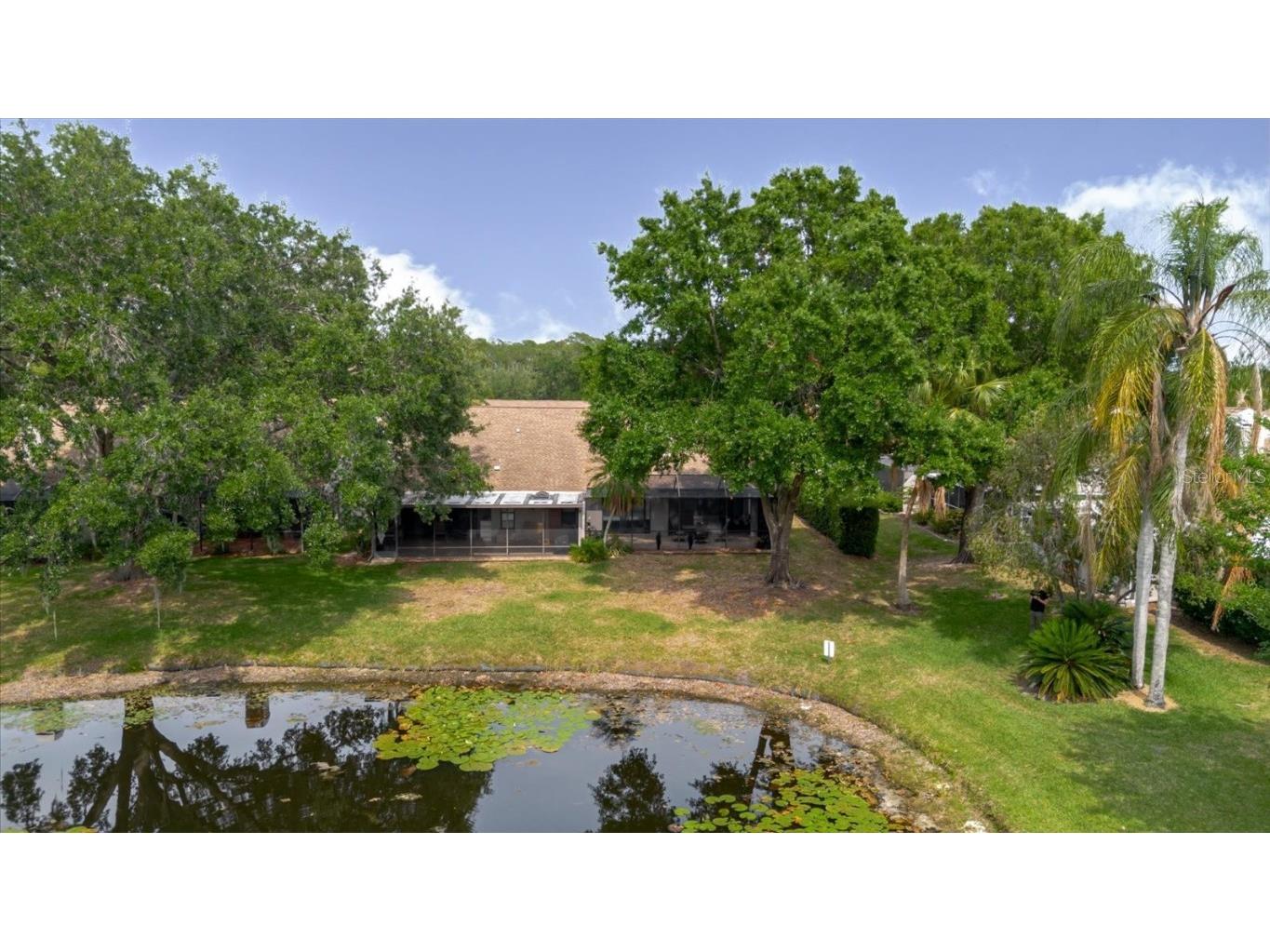 4032 Salem Square Court Palm Harbor FL 34685 TB8384403 image52