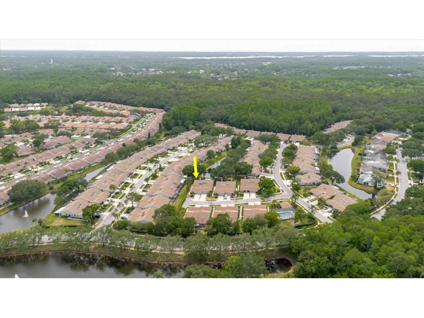 4032 Salem Square Court Palm Harbor FL 34685 TB8384403 image57