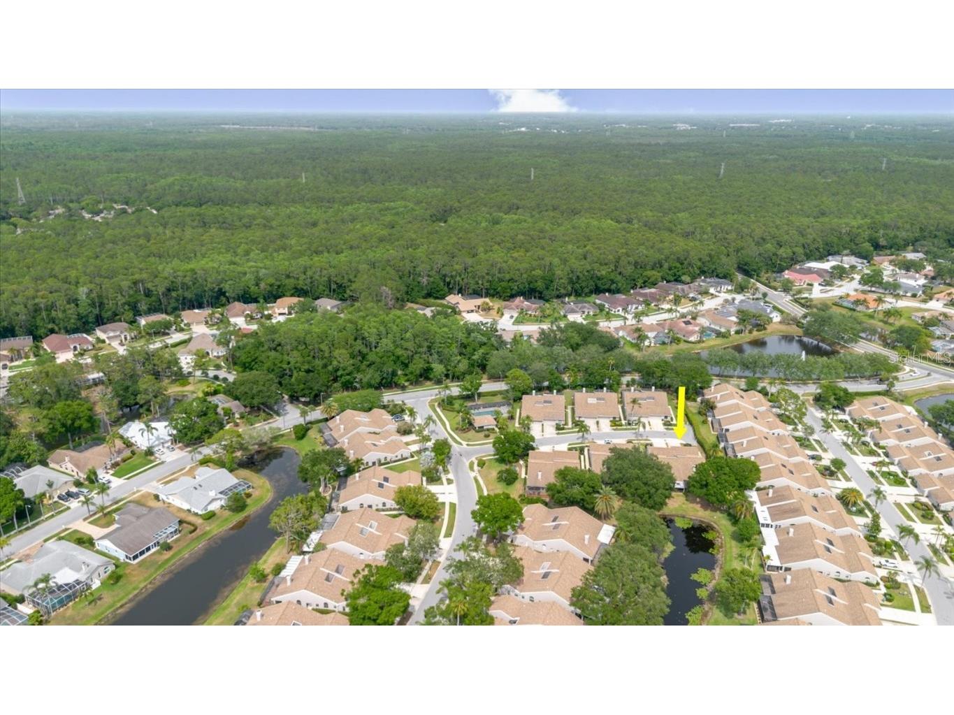 4032 Salem Square Court Palm Harbor FL 34685 TB8384403 image59