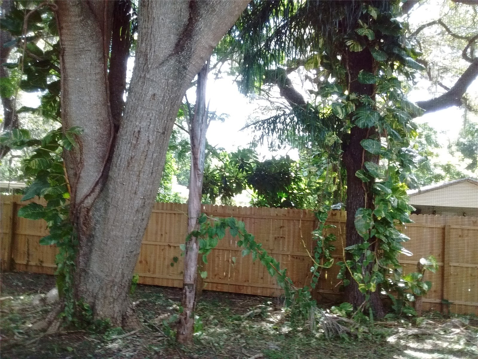 4033 Anna Drive Apopka FL 32703 O6403111 image12