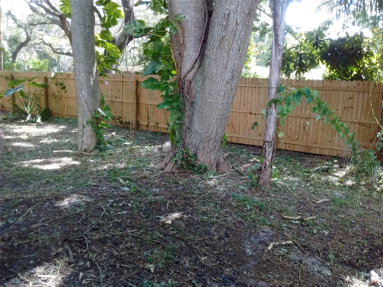 4033 Anna Drive Apopka FL 32703 O6403111 image13