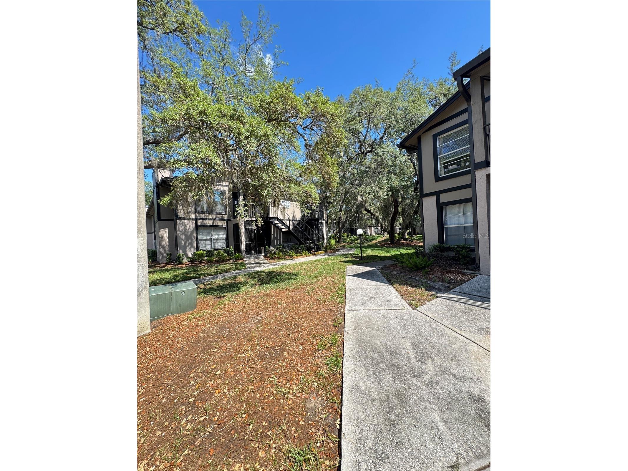 4033 Dream Oak Place #101 Tampa FL 33613 TB8508970 image19