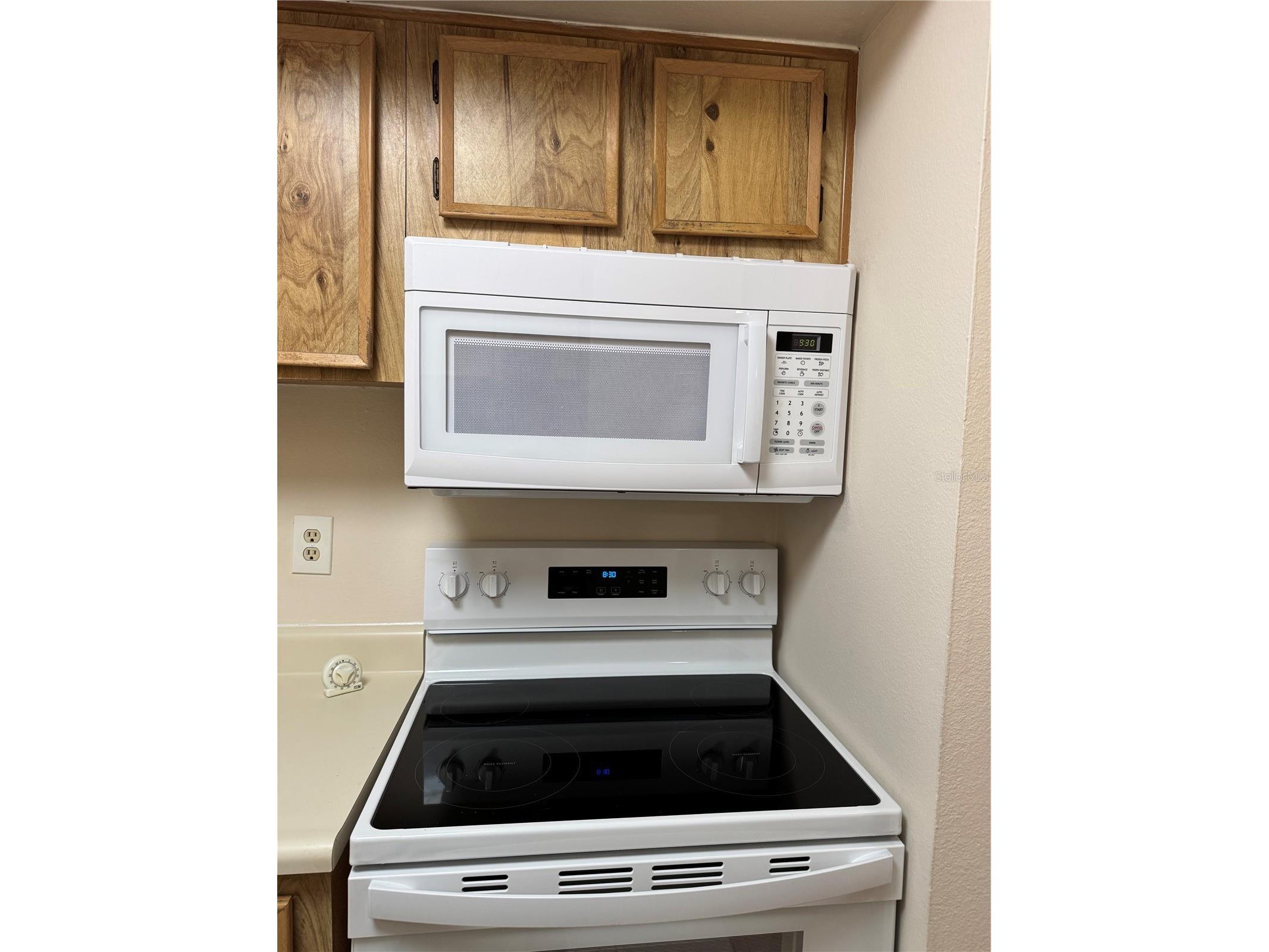 4033 Dream Oak Place #101 Tampa FL 33613 TB8508970 image4