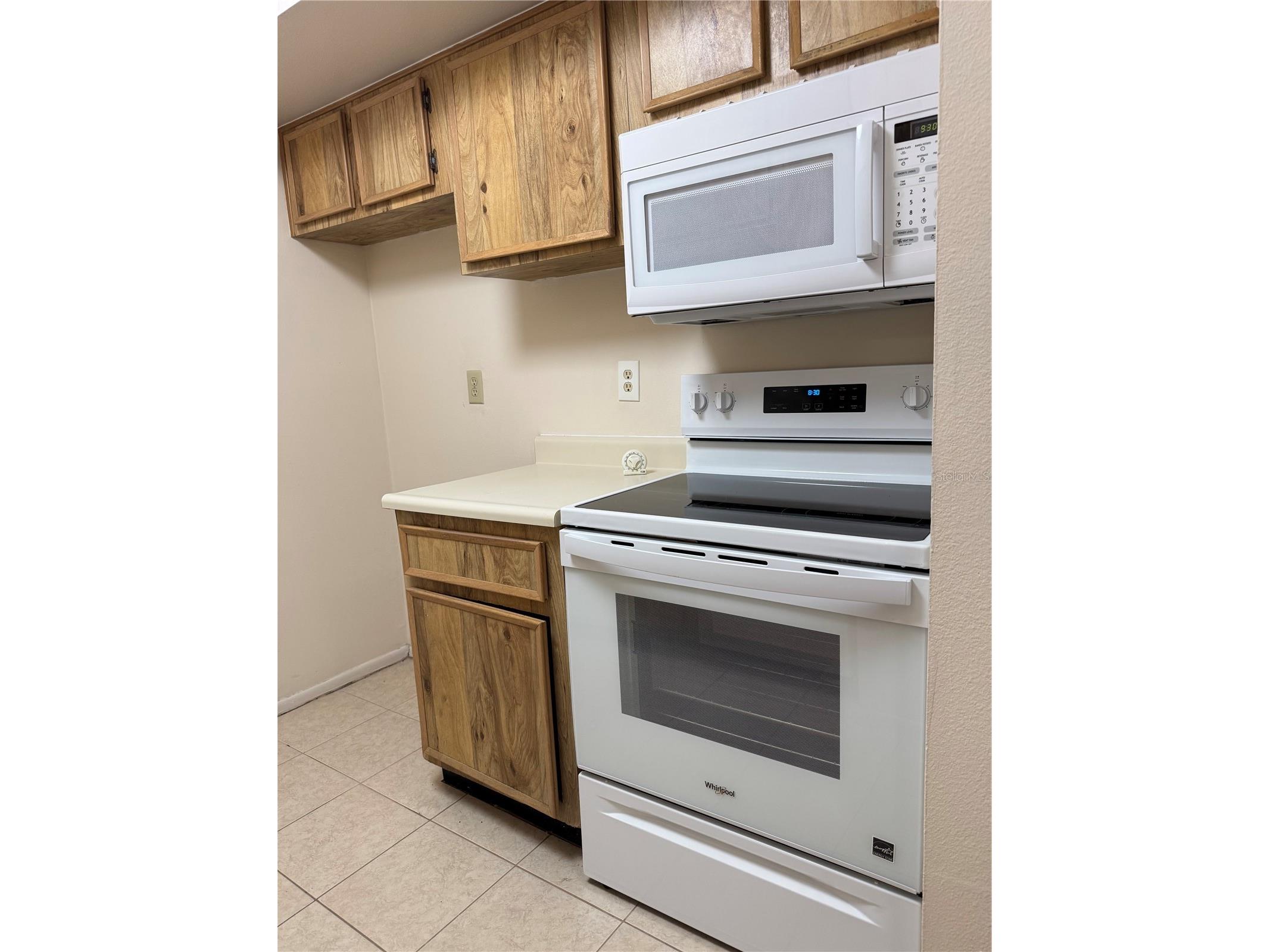 4033 Dream Oak Place #101 Tampa FL 33613 TB8508970 image5