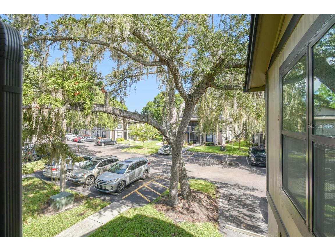 4033 Dream Oak Place #202 Tampa FL 33613 TB8422248 image27