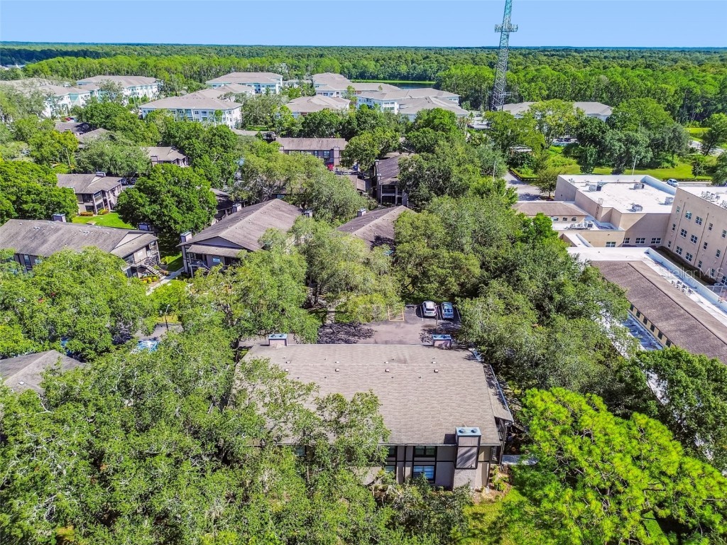 4033 Dream Oak Place #202 Tampa FL 33613 TB8422248 image30