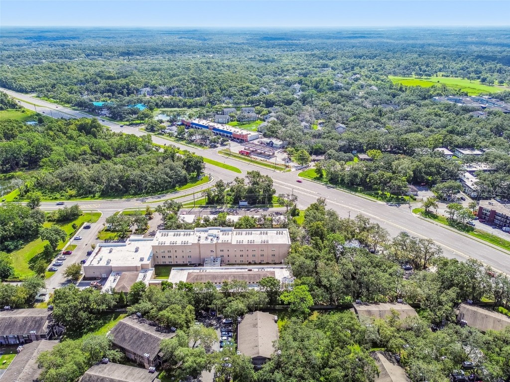 4033 Dream Oak Place #202 Tampa FL 33613 TB8422248 image32