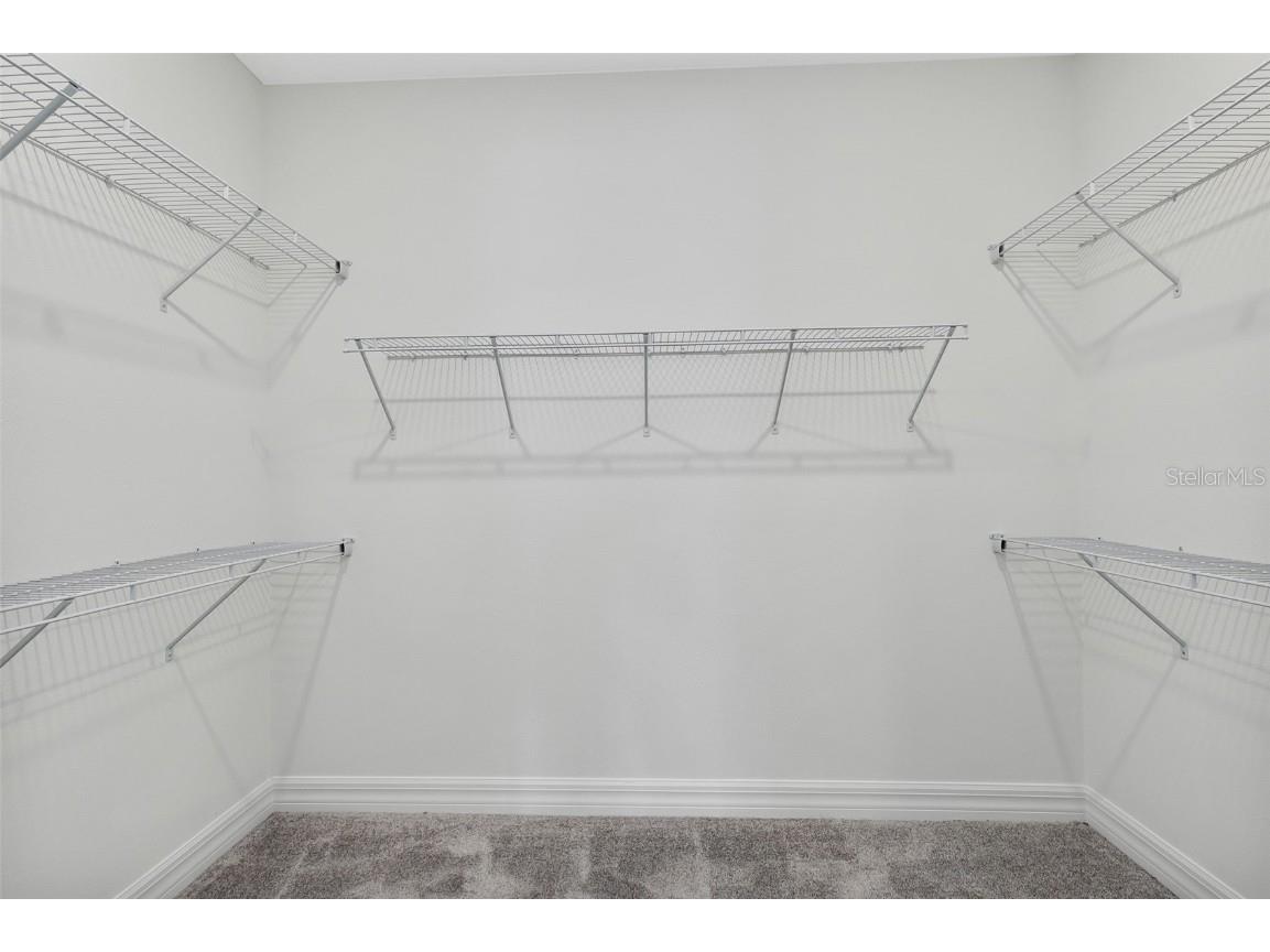 4033 Winding Meadows Street Apopka FL 32712 O6368101 image21