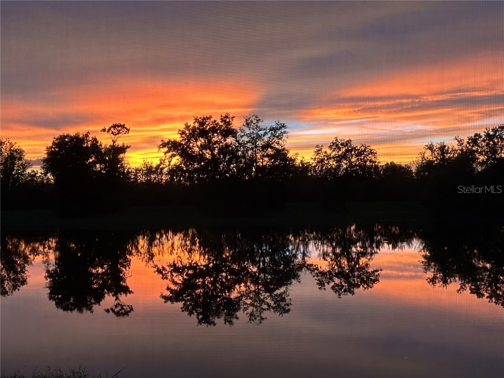 4034 Butte Trail Bradenton FL 34211 TB8460746 image76