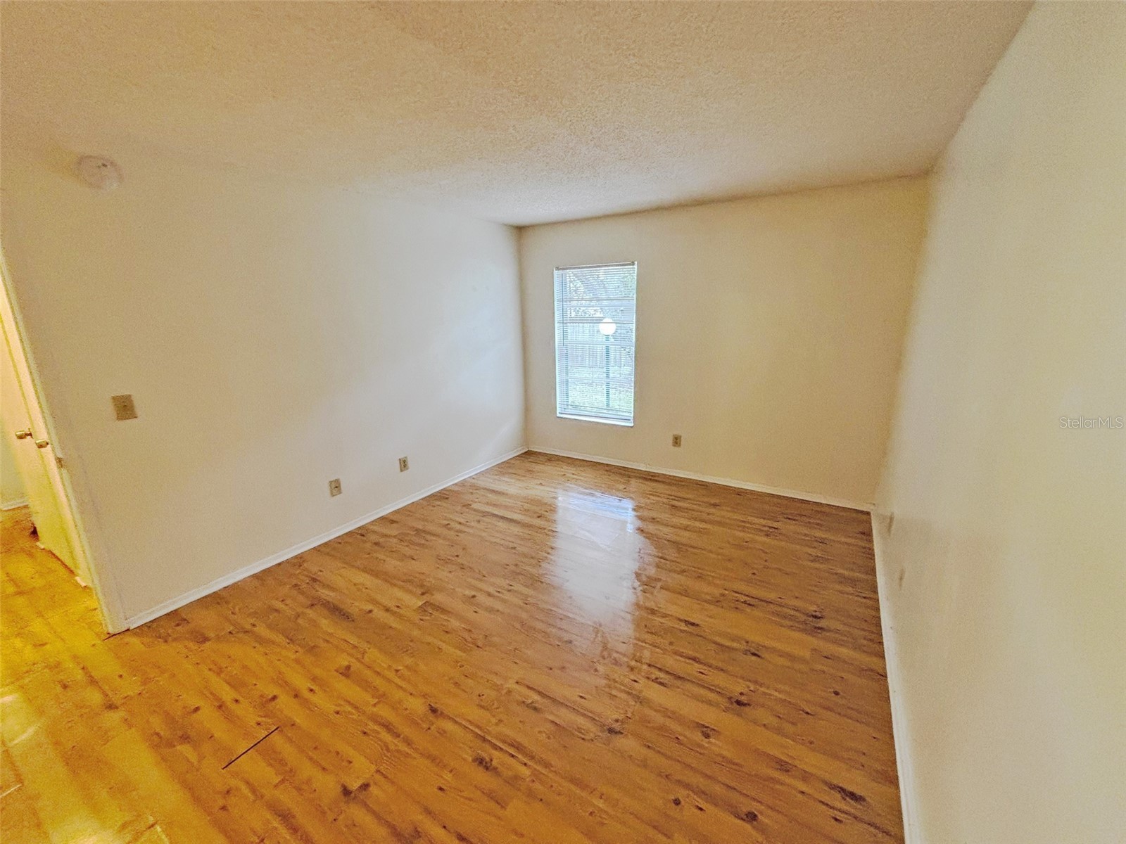 4034 Dream Oak Place #104 Tampa FL 33613 O6411690 image14