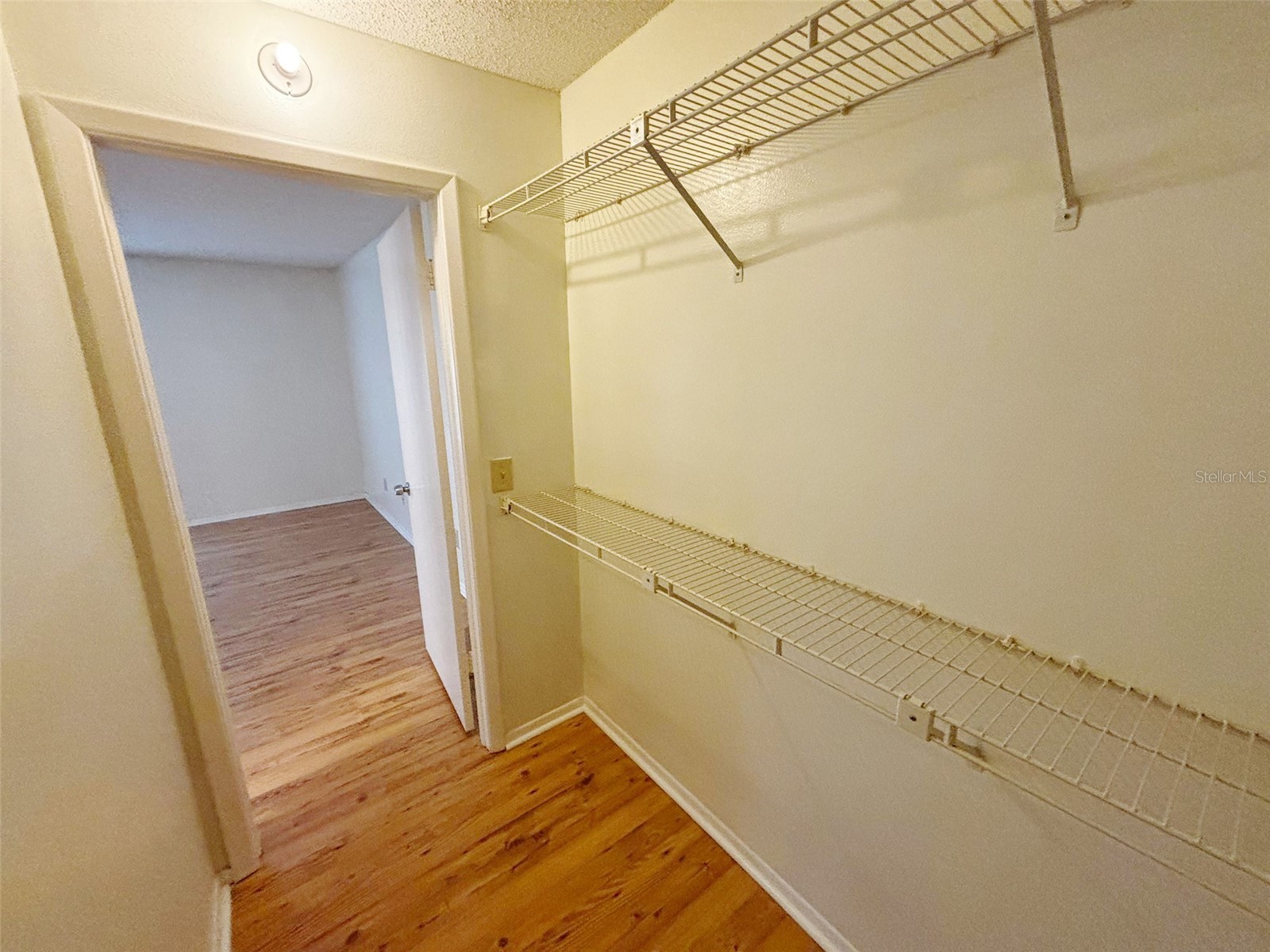 4034 Dream Oak Place #104 Tampa FL 33613 O6411690 image21