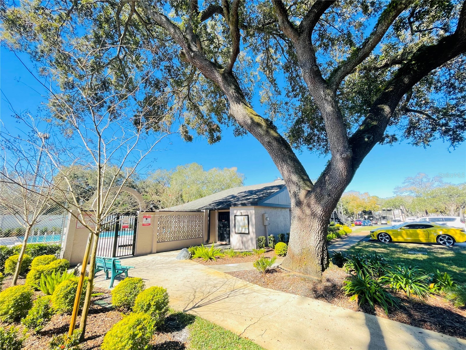 4034 Dream Oak Place #104 Tampa FL 33613 O6411690 image23