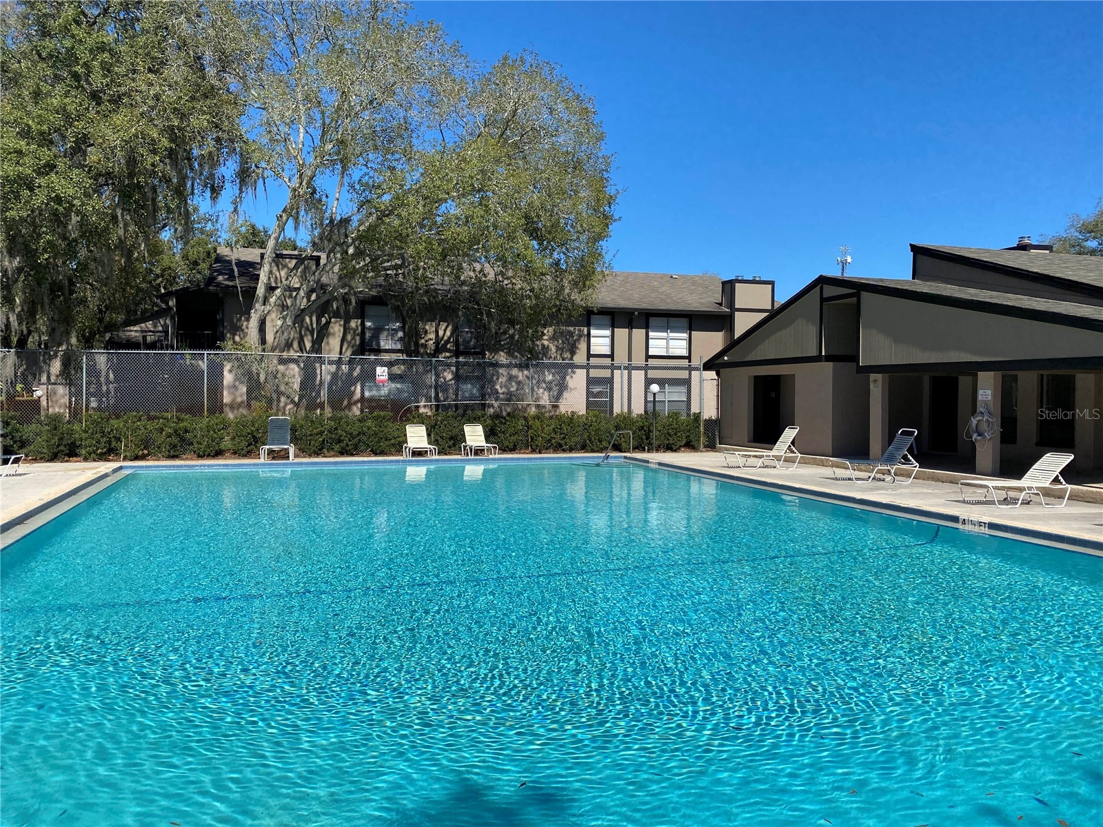4034 Dream Oak Place #104 Tampa FL 33613 O6411690 image24