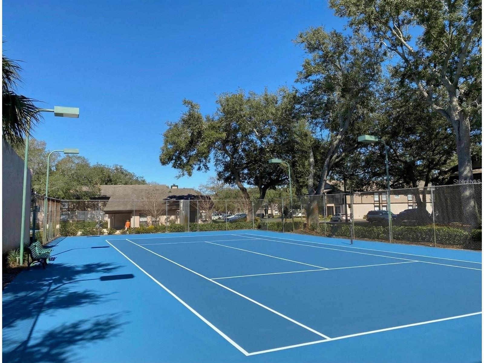 4034 Dream Oak Place #104 Tampa FL 33613 O6411690 image27