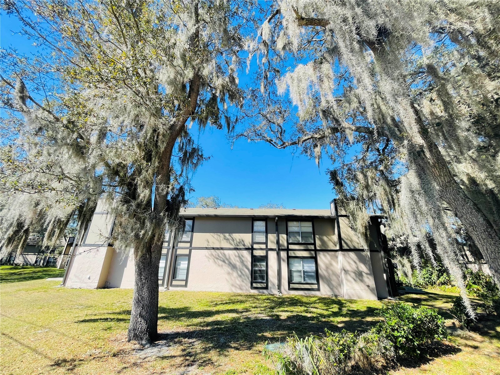 4034 Dream Oak Place #104 Tampa FL 33613 O6411690 image29