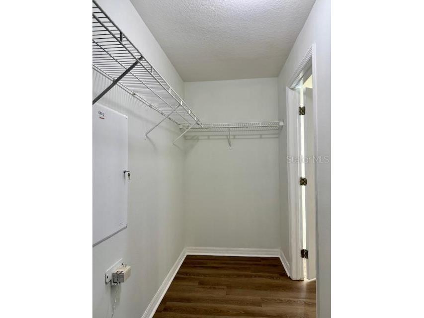 4035 Langdrum Drive Wesley Chapel FL 33543 TB8525116 image11