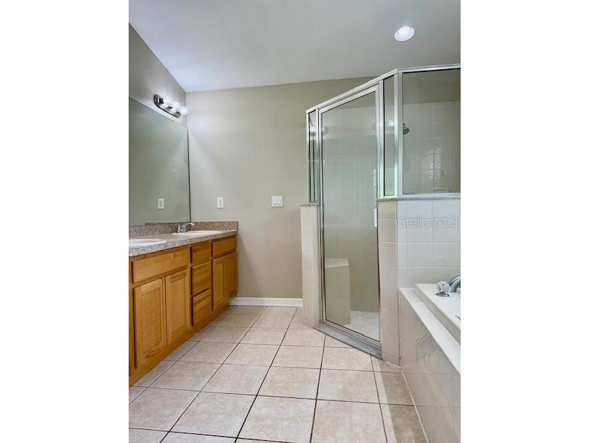 4035 Langdrum Drive Wesley Chapel FL 33543 TB8525116 image12