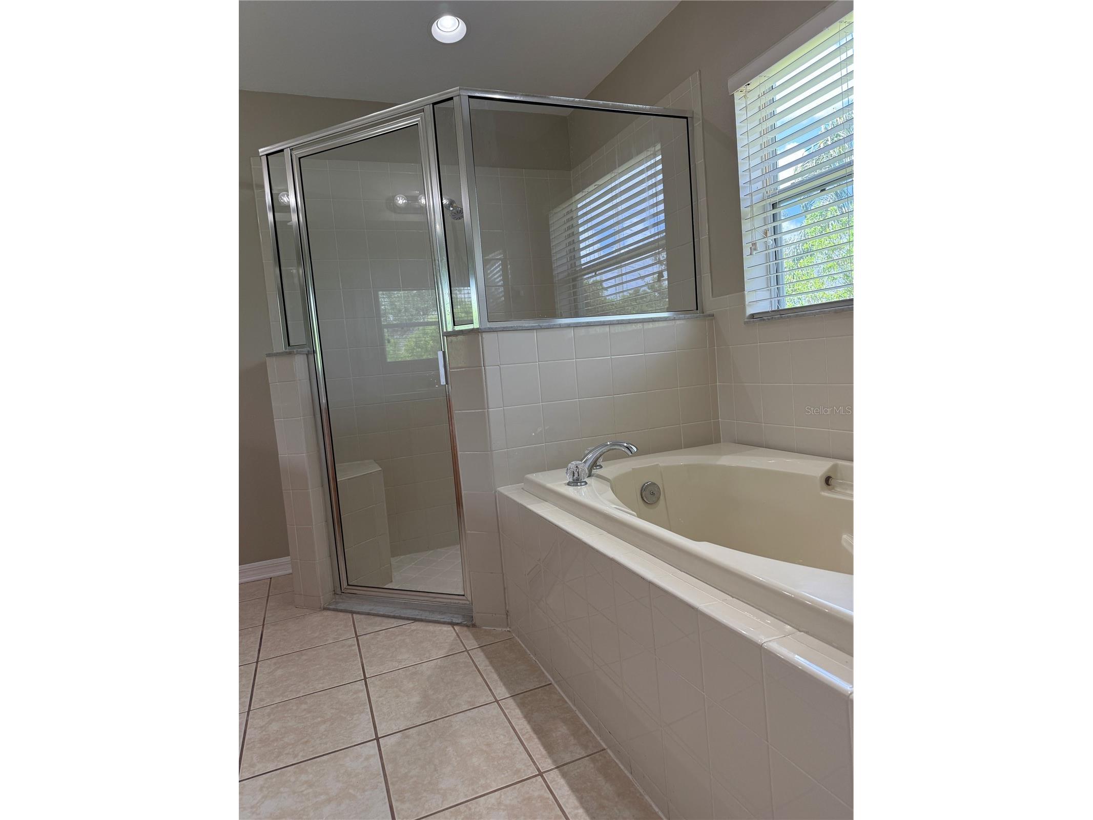 4035 Langdrum Drive Wesley Chapel FL 33543 TB8525116 image15