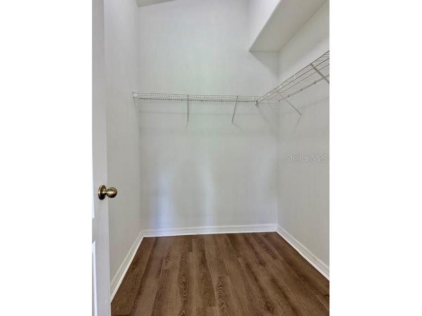 4035 Langdrum Drive Wesley Chapel FL 33543 TB8525116 image18