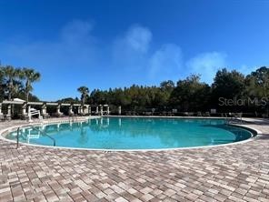 4035 Langdrum Drive Wesley Chapel FL 33543 TB8525116 image32