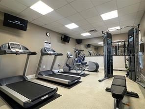 4035 Langdrum Drive Wesley Chapel FL 33543 TB8525116 image33