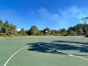 4035 Langdrum Drive Wesley Chapel FL 33543 TB8525116 image37