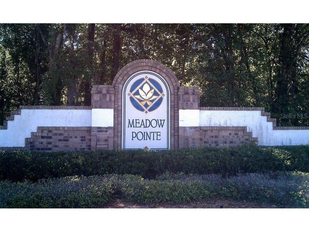 4035 Langdrum Drive Wesley Chapel FL 33543 TB8525116 image40