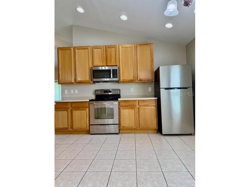 4035 Langdrum Drive Wesley Chapel FL 33543 TB8525116 image7
