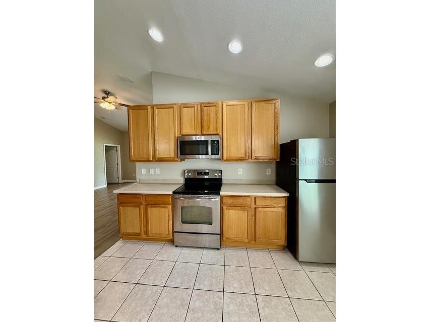 4035 Langdrum Drive Wesley Chapel FL 33543 TB8525116 image8