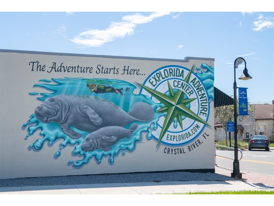 4035 N Woodland Point Crystal River FL 34428 TB8400477 image49