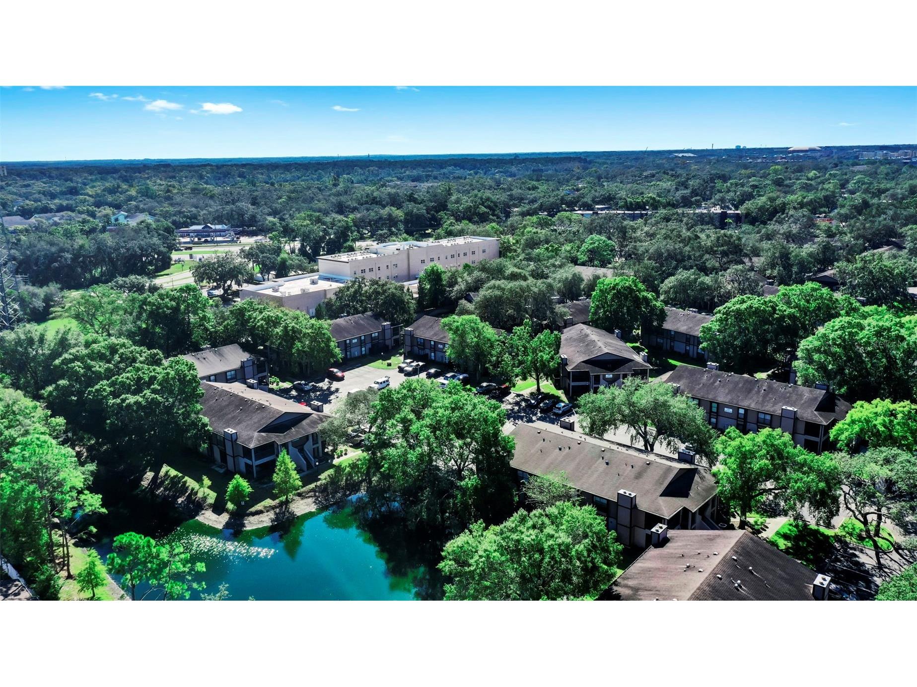 4036 Angel Oak Court #104 Tampa FL 33613 TB8437932 image19