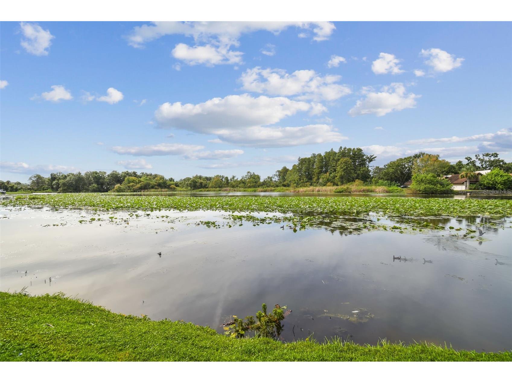 4036 Cortez Drive #A Tampa FL 33614 TB8430761 image50