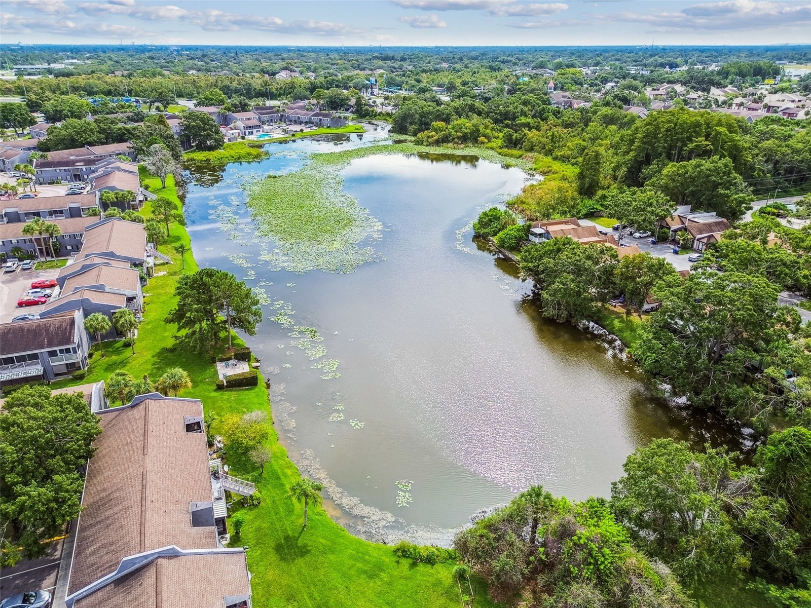 4036 Cortez Drive #A Tampa FL 33614 TB8430761 image52