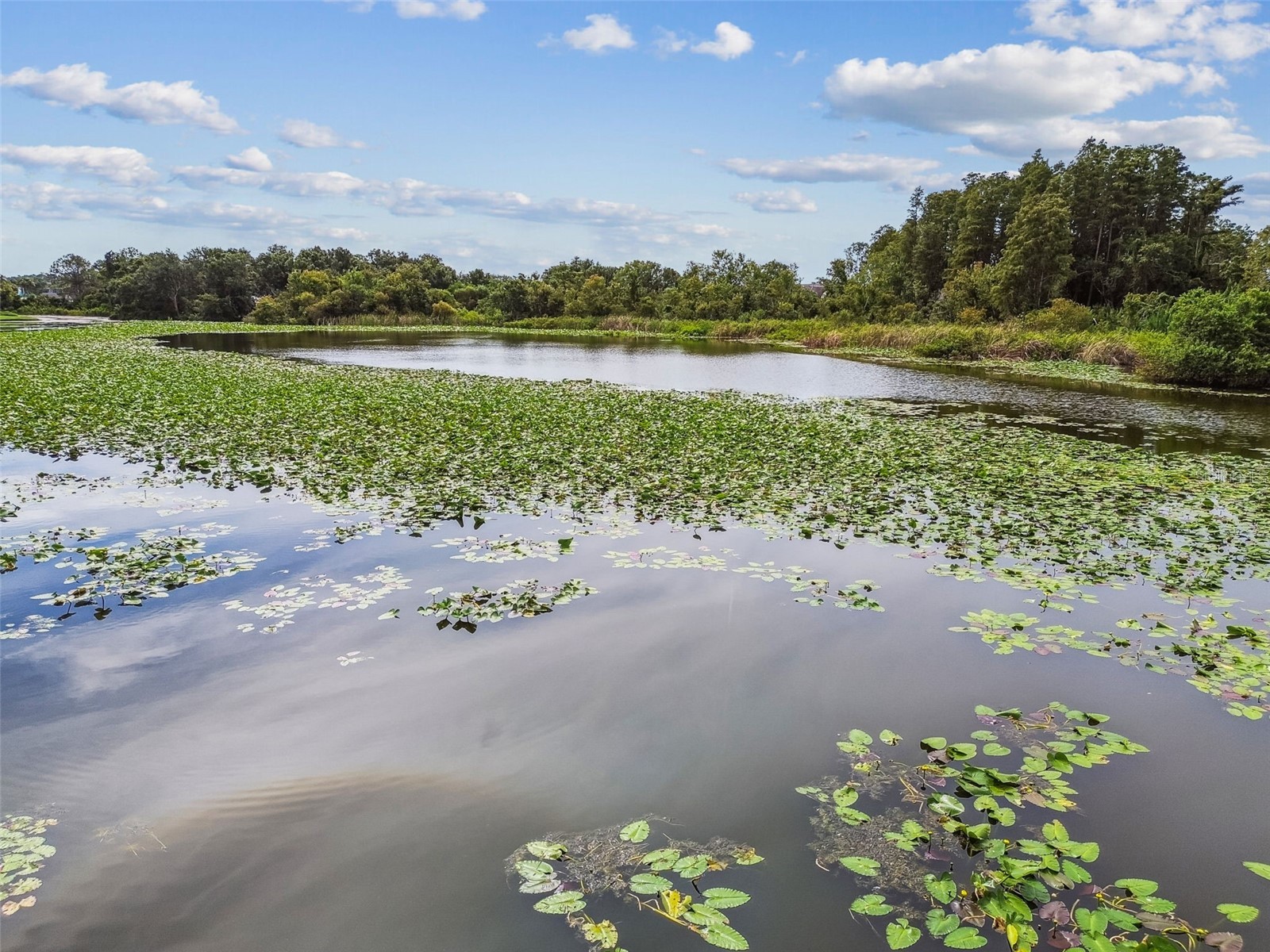 4036 Cortez Drive #A Tampa FL 33614 TB8430761 image94