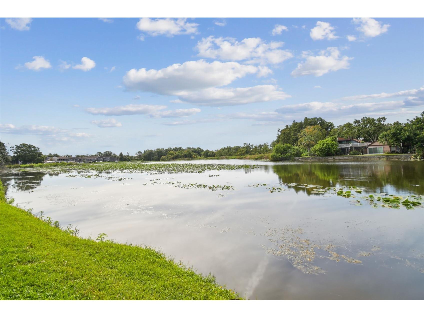 4036 Cortez Drive #A Tampa FL 33614 TB8430761 image96