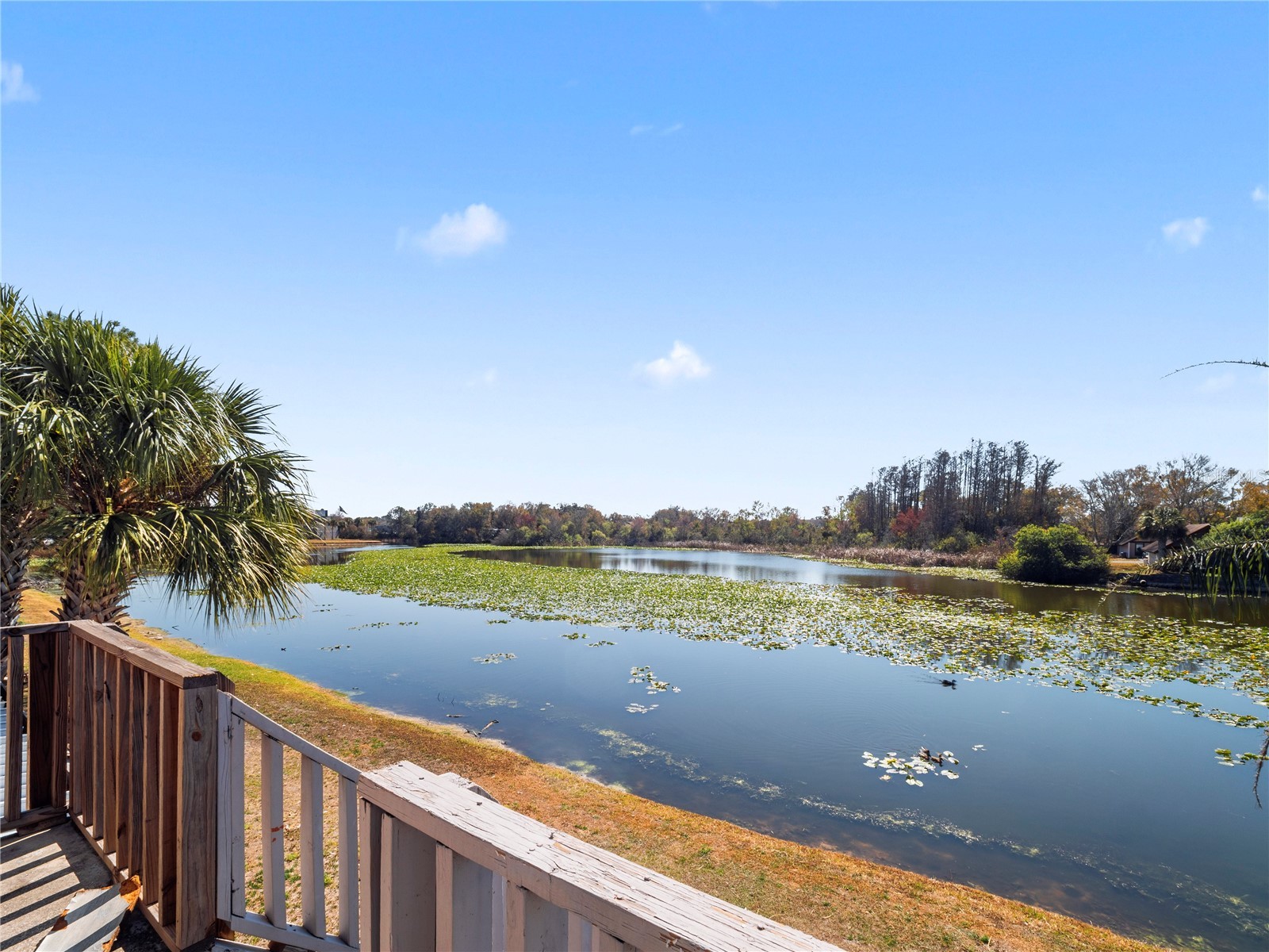 4036 Cortez Drive #D Tampa FL 33614 TB8476678 image30