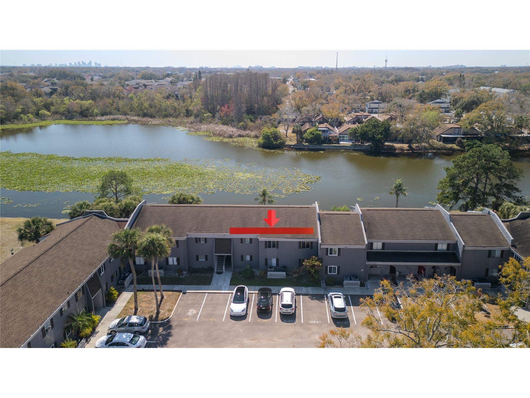 4036 Cortez Drive #D Tampa FL 33614 TB8476678 image32