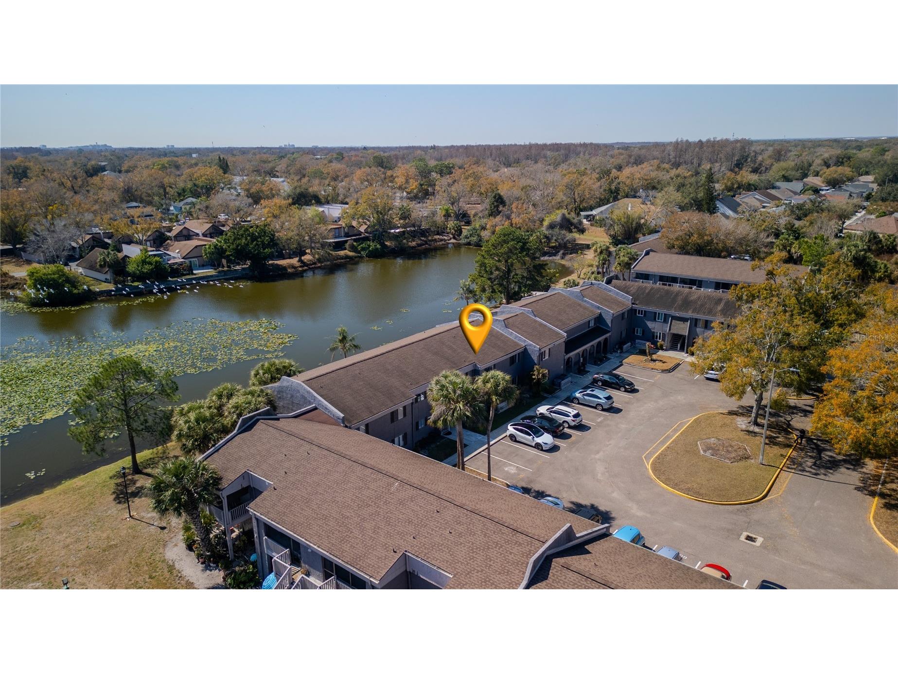 4036 Cortez Drive #D Tampa FL 33614 TB8476678 image33
