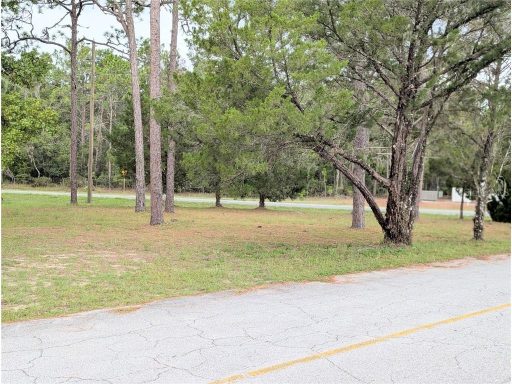 4036 E Seminole Lane Dunnellon FL 34434 OM707306 image15