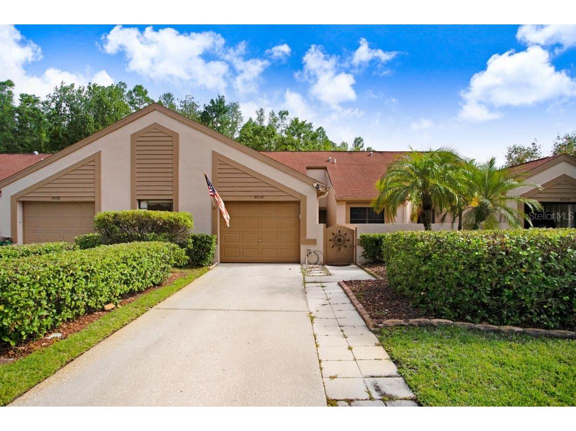 4036 Mermoor Court Palm Harbor FL 34685 T3440956 image1